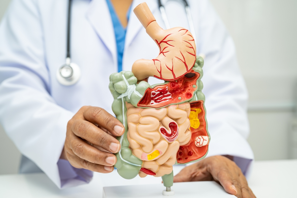 Internal Medicine, Gastroenterology & Specialist Ultrasound